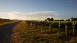 Hawkes.Bay.Pask.Winery2
