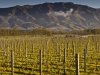 Waitaki Valley, norra Otago