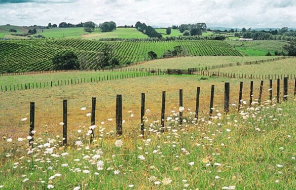 Waikato & Bay of Plenty